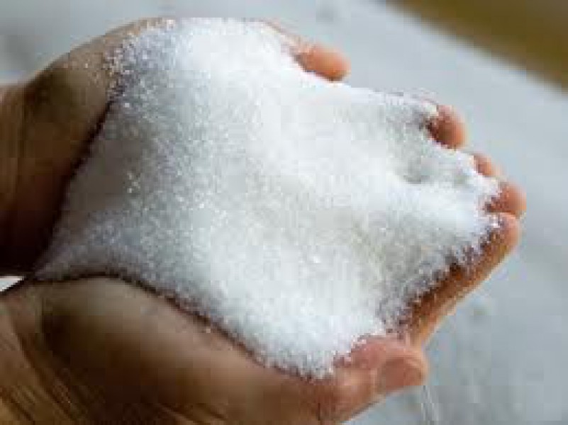 sugar manufacturing sugar manufacturing